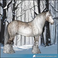 Horse Color:Gray Brown Tobiano Rabicano and Gray Brown Dun Splash