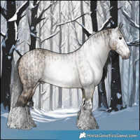 Horse Color:Gray Brown Tobiano Rabicano  and Gray Brown Dun Splash 