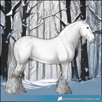 Horse Color:Gray Brown Tobiano Rabicano  and Gray Brown Dun Splash 
