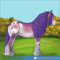 Horse Color:Watercolor Liver Red Onyx Splash Tobiano Appaloosa 