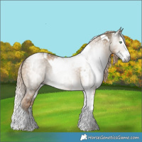 Horse Color:Gray Silver Smoky Grullo Splash Tobiano and Gray Chocolate Palomino Dun Splash Tobiano