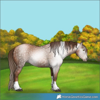 Horse Color:Gray Liver Chestnut Pearl Tobiano 