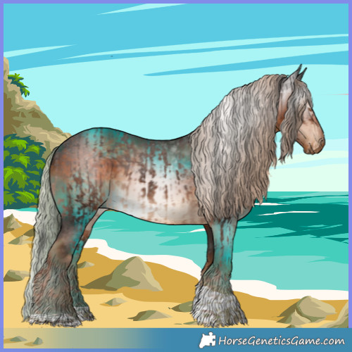 Horse Color:Liver Chestnut Tobiano Appaloosa  and Gray Chocolate Palomino Tobiano 