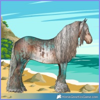 Horse Color:Liver Chestnut Tobiano Varnish  and Gray Chocolate Palomino Tobiano 