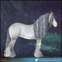 Horse Color:Watercolor Bay Onyx Appaloosa