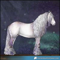 Horse Color:Gray Watercolor Smoky Black Snowflake Varnish  and Silver Bay Onyx Tobiano 