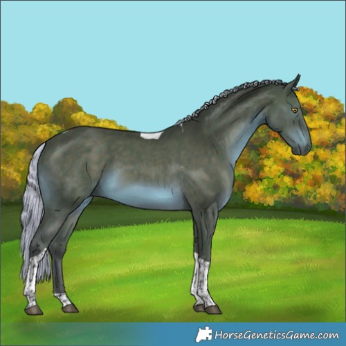Horse Color:Silver Brown Tobiano 