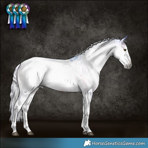 Horse Color:Gray Silver Bay Dun Splash Tobiano  and Watercolor Silver Brown Onyx Splash Tobiano Appaloosa 