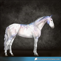 Horse Color:Gray Silver Bay Dun Splash Tobiano and Watercolor Silver Brown Onyx Splash Tobiano Appaloosa