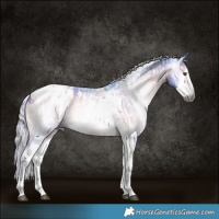 Horse Color:Gray Silver Bay Dun Splash Tobiano  and Watercolor Silver Brown Onyx Splash Tobiano Appaloosa 