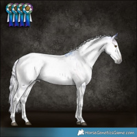 Horse Color:Gray Silver Bay Dun Splash Tobiano and Watercolor Silver Brown Onyx Splash Tobiano Blanket