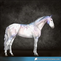 Horse Color:Gray Silver Bay Dun Splash Tobiano and Watercolor Silver Brown Onyx Splash Tobiano Appaloosa