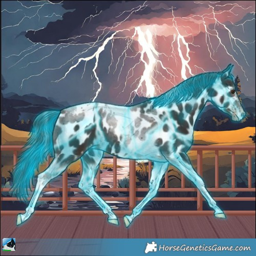 Horse Color:Thunderstruck Liver Chestnut Tobiano Appaloosa