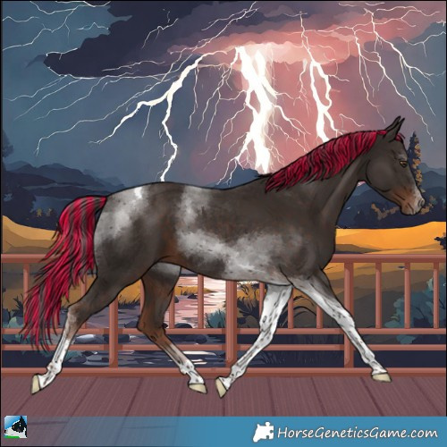 Horse Color:Painted Liver Chestnut Tobiano