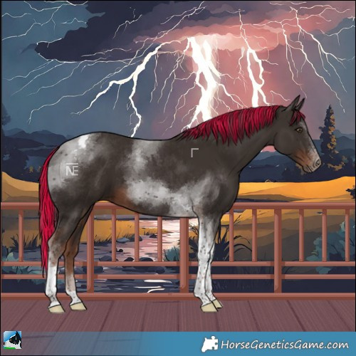 Horse Color:Painted Liver Chestnut Tobiano