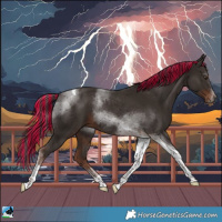 Horse Color:Painted Liver Chestnut Tobiano 