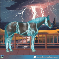 Horse Color:Thunderstruck Liver Chestnut Tobiano 