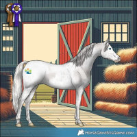 Horse Color:Silver Black Splash Tobiano Appaloosa 