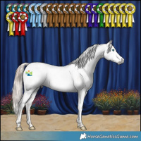 Horse Color:Gray Chestnut Splash Tobiano Varnish 