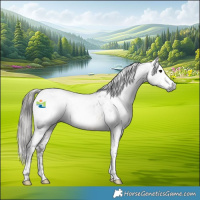 Horse Color:Gray Brown Tobiano Appaloosa 