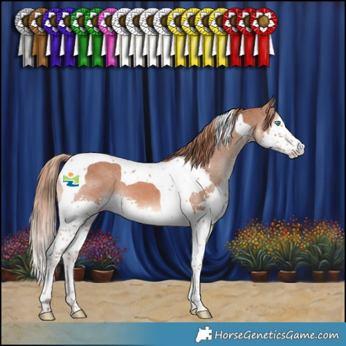 Horse Color:Chestnut Splash Tobiano Varnish 