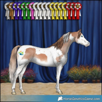 Horse Color:Chestnut Splash Tobiano Varnish 
