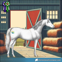 Horse Color:Gray Palomino Splash Tobiano Appaloosa 