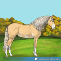 Horse Color:Palomino Dun 