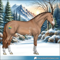 Horse Color:Red Dun