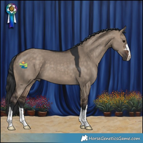 Horse Color:Brown Dun 