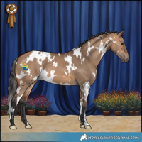 Horse Color:White Spotted Bay Dun 