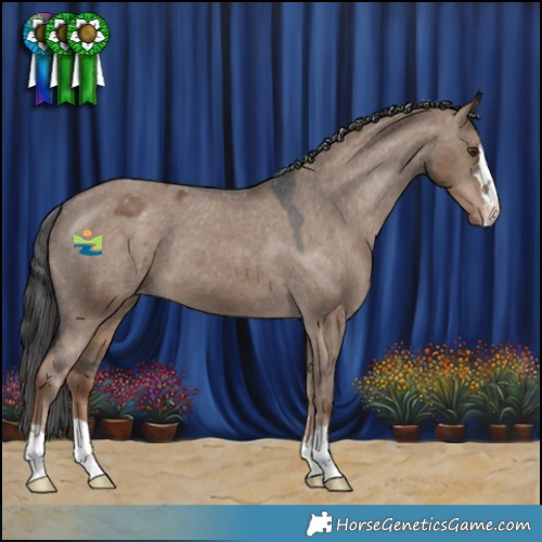 Horse Color:Liver Red Dun Varnish 