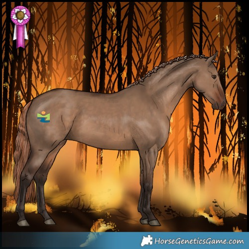 Horse Color:Liver Red Dun 