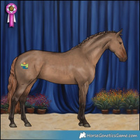 Horse Color:Liver Red Dun 