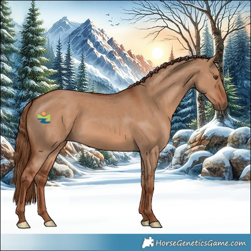 Horse Color:Red Dun 