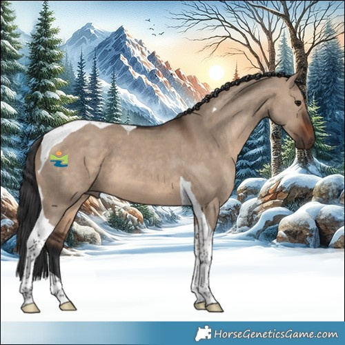 Horse Color:Brown Dun Tobiano 