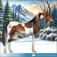 Horse Color:Bay Tobiano