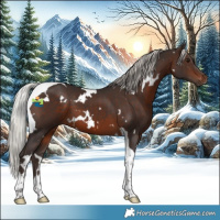 Horse Color:White Spotted Silver Brown Tobiano