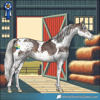 Horse Color:Silver Brown Splash Tobiano Appaloosa 
