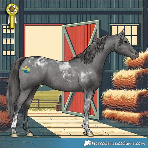 Horse Color:Black Tobiano Appaloosa 