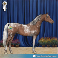 Horse Color:Silver Black Tobiano 