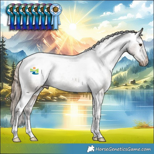 Horse Color:Liver Red Dun Appaloosa Brindle 