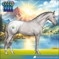 Horse Color:Liver Red Dun Appaloosa Brindle 