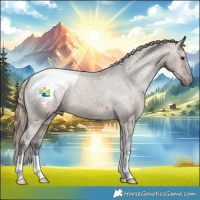 Horse Color:Liver Red Dun Appaloosa Brindle 