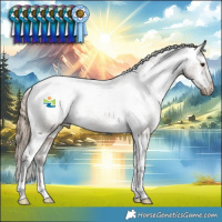 Horse Color:Liver Red Dun Appaloosa Brindle 