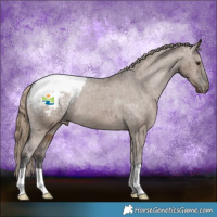 Horse Color:Liver Red Dun Appaloosa Brindle 