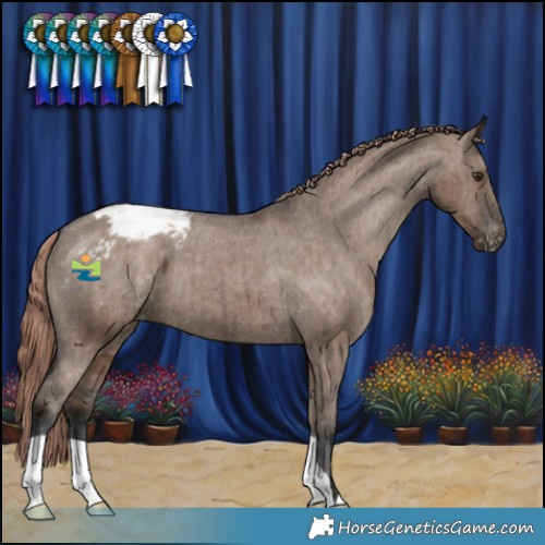Horse Color:Liver Red Dun Varnish Brindle 