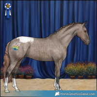 Horse Color:Liver Red Dun Appaloosa Brindle 