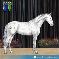 Horse Color:Watercolor Red Dun Ice Roan Splash Near Leopard 