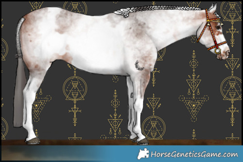 Horse Color:White Spotted Bay Roan Frame 